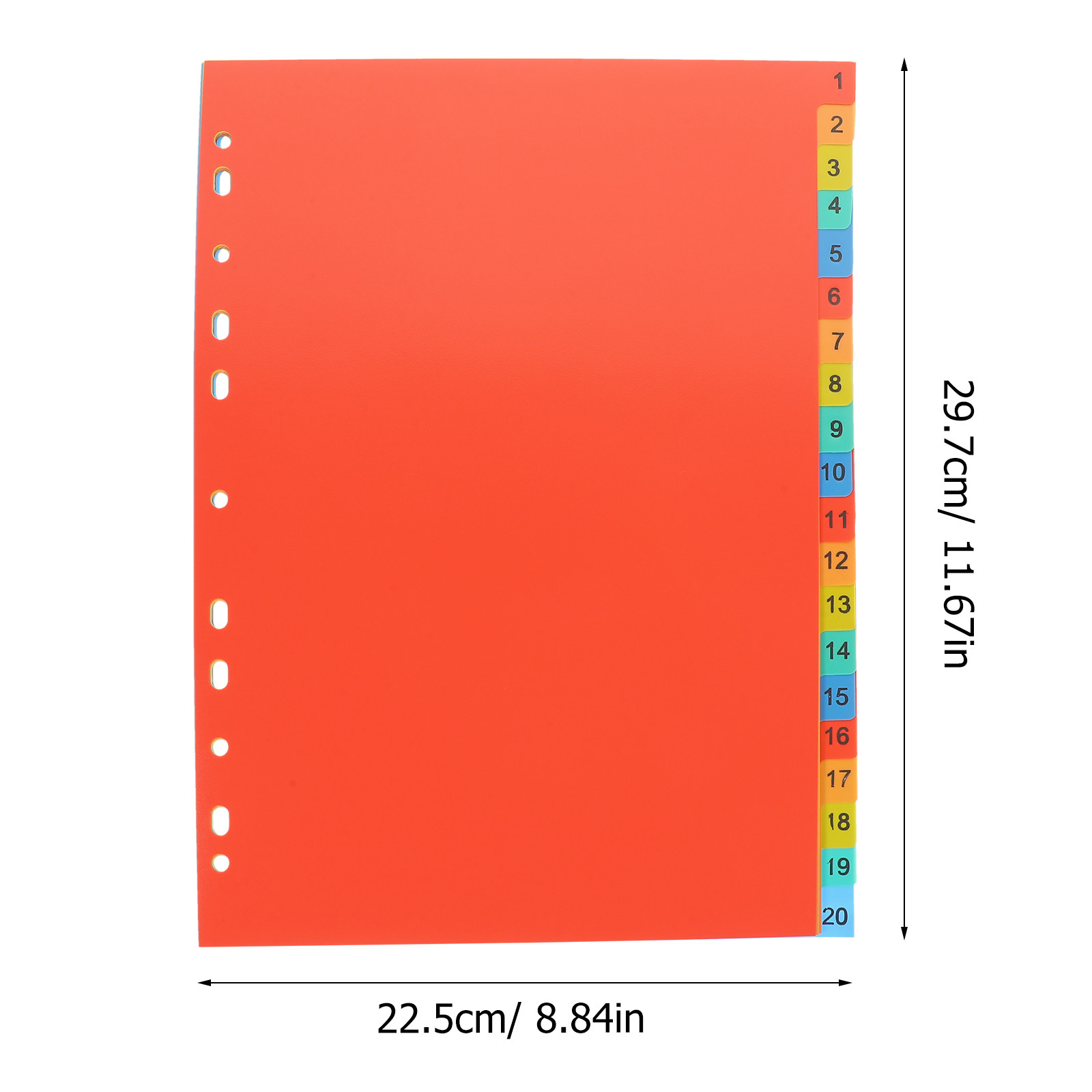 แผ่นแบ่งเอกสาร A4 แบบมีแถบ 20  - Tab Divider A4 บทวิจารณ์และราคา